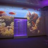 Проекционный дизайн "Виртуальная реальность" безлимитный комплект 1200 анимаций - «globural.ru» - Астрахань