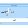 Английский язык. Освоение клавиатуры - «globural.ru» - Астрахань