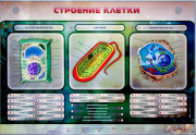 Стенды для кабинета биологии - «globural.ru» - Астрахань