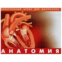 Анатомия. (Цифровой атлас школьника) - «globural.ru» - Астрахань