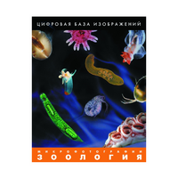 Зоология. Микрофотографии. (Цифровая база изображений) - «globural.ru» - Астрахань
