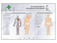 Электрифицированный стенд "Остановка кровотечения" - «globural.ru» - Астрахань