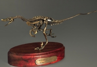 Модель скелета динозавра Velociraptor - «globural.ru» - Астрахань