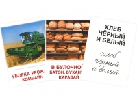 Раздаточные карточки "Хлеб всему голова" - «globural.ru» - Астрахань