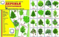 Демонстрационные карточки "Деревья и кустарники" - «globural.ru» - Астрахань