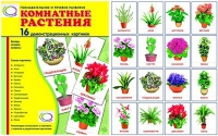 Демонстрационные карточки "Комнатные растения" - «globural.ru» - Астрахань