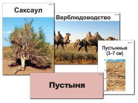 Модель-аппликация "Природные зоны России" - «globural.ru» - Астрахань