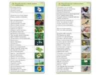 Комплект карточек (10) "Обучающий калейдоскоп. Природа" - «globural.ru» - Астрахань