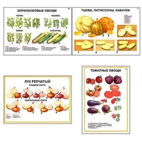 Плакаты ПРОФТЕХ "Ассортимент овощных культур" (12 пл, винил, 70х100) - «globural.ru» - Астрахань
