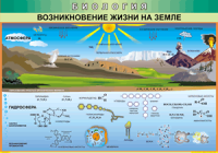 Таблица Возникновение жизни на Земле 1000*1400 винил - «globural.ru» - Астрахань