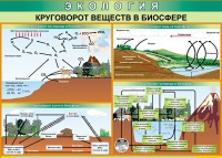 Таблица Круговорот веществ в биосфере 1000*700 винил - «globural.ru» - Астрахань