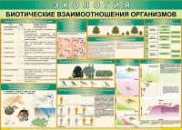 Таблица Биотические взаимоотношения организмов 1000*700 (винил) - «globural.ru» - Астрахань