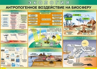 Таблица Антропогенное воздействие на биосферу 1000*700 винил - «globural.ru» - Астрахань