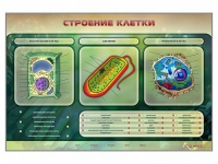 Электрифицированный стенд "Строение клетки" с маркерными полями - «globural.ru» - Астрахань
