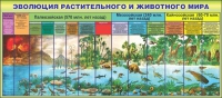 Стенд "Эволюция растительного и животного мира" - «globural.ru» - Астрахань