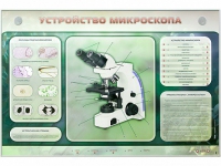 Электрифицированный стенд "Устройство микроскопа и правила работы c ним" - «globural.ru» - Астрахань
