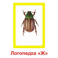 Логопедка "Ж" (логопедические карточки) - «globural.ru» - Астрахань