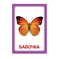 Логопедка "Ч" (логопедические карточки) - «globural.ru» - Астрахань