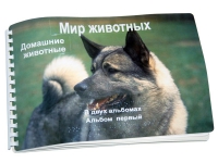 Пособие для слабовидящих "Домашние животные" - «globural.ru» - Астрахань