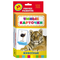 Карточки Домана "Животные" - «globural.ru» - Астрахань