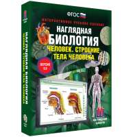 Наглядная биология. Человек. Строение тела человека - «globural.ru» - Астрахань