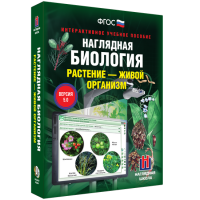 Наглядная биология. Растение - живой организм - «globural.ru» - Астрахань