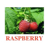 "Berries-1" ("Ягоды-1") английские карточки Домана - «globural.ru» - Астрахань