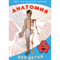 DVD  Анатомия для детей - «globural.ru» - Астрахань