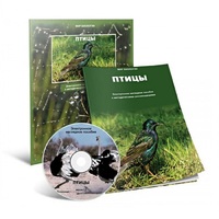 Электронное наглядное пособие «Птицы» - «globural.ru» - Астрахань