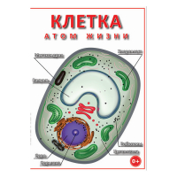 DVD Клетка - "атом жизни" - «globural.ru» - Астрахань