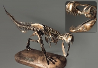 Модель скелета динозавра Tyrannosaurus - «globural.ru» - Астрахань