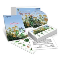 Комбинированное наглядное пособие «Растения» - «globural.ru» - Астрахань
