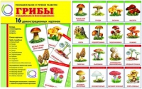 Демонстрационные карточки  "Грибы съедобные и не съедобные" - «globural.ru» - Астрахань