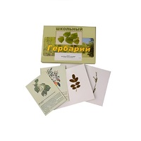 Гербарий "Деревья и кустарники" (22 вида, с иллюстрациями) - «globural.ru» - Астрахань