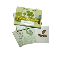 Гербарий "Дикорастущие растения" (30 видов, с иллюстрациями) - «globural.ru» - Астрахань