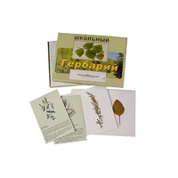 Гербарий "Лекарственные растения" (22 вида, с иллюстрациями) - «globural.ru» - Астрахань