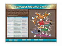 Интерактивный электрифицированный стенд "Эволюция животного мира" - «globural.ru» - Астрахань