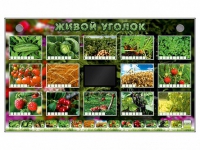 Комплект оборудования "Живой уголок" (растения) - «globural.ru» - Астрахань