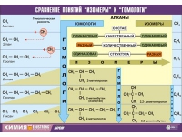 Таблица демонстрационная "Сравнение понятий изомер и гомолог" (винил 70x100) - «globural.ru» - Астрахань
