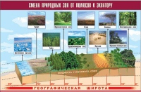 Таблица демонстрационная "Смена природных зон от полюсов к экватору" (винил 70x100) - «globural.ru» - Астрахань