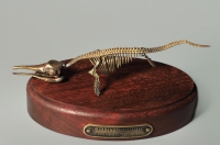 Модель скелета ихтиозавра Ichthyosaurus - «globural.ru» - Астрахань