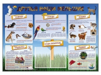 Стенд-уголок "Друзья наши меньшие" - «globural.ru» - Астрахань