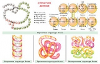 Плакаты и таблицы по общей химии - «globural.ru» - Астрахань