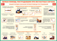  Таблица Общий порядок оказания первой помощи пострадавшим 1000*1400 винил	 - «globural.ru» - Астрахань