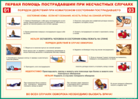 Таблица Порядок действий при коматозном состоянии пострадавшего 1000*1400 винил - «globural.ru» - Астрахань