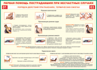 Таблица Порядок действий при ранениях и термических ожогах	 1000*1400 винил - «globural.ru» - Астрахань