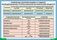 Химия. Сравнение понятий изомер и гомолог. Функциональные группы классов органических веществ (винил) - «globural.ru» - Астрахань