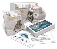 Комбинированное наглядное пособие «Животные» - «globural.ru» - Астрахань