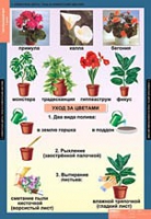 Окружающий мир 1 класс (комплект таблиц) - «globural.ru» - Астрахань