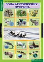 Окружающий мир 4 класс (комплект таблиц) - «globural.ru» - Астрахань